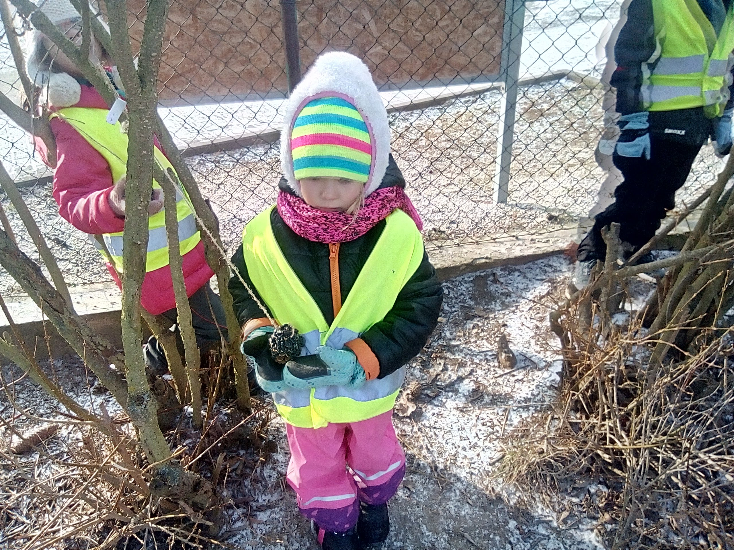 IMG_20190125_112502