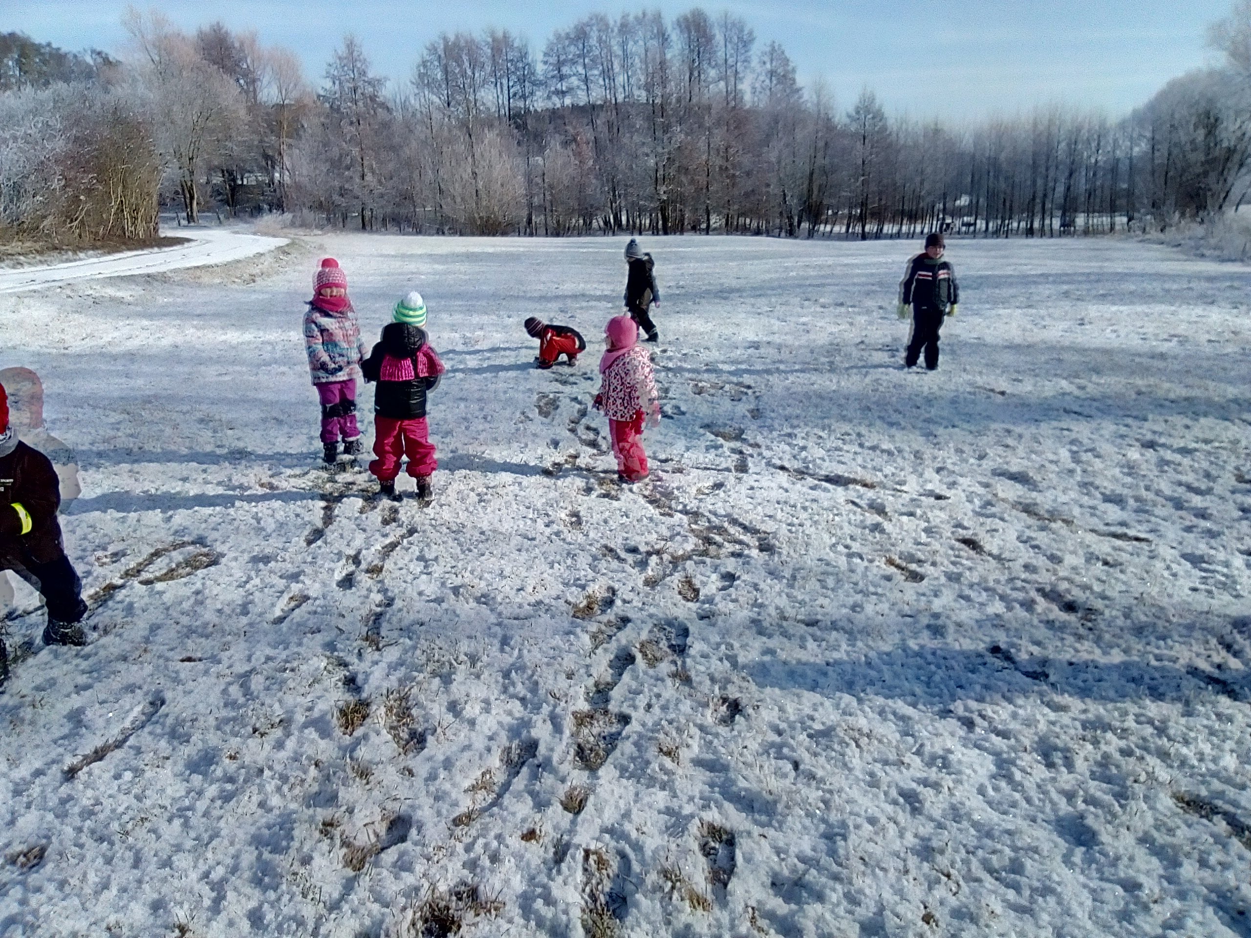 IMG_20190130_110016