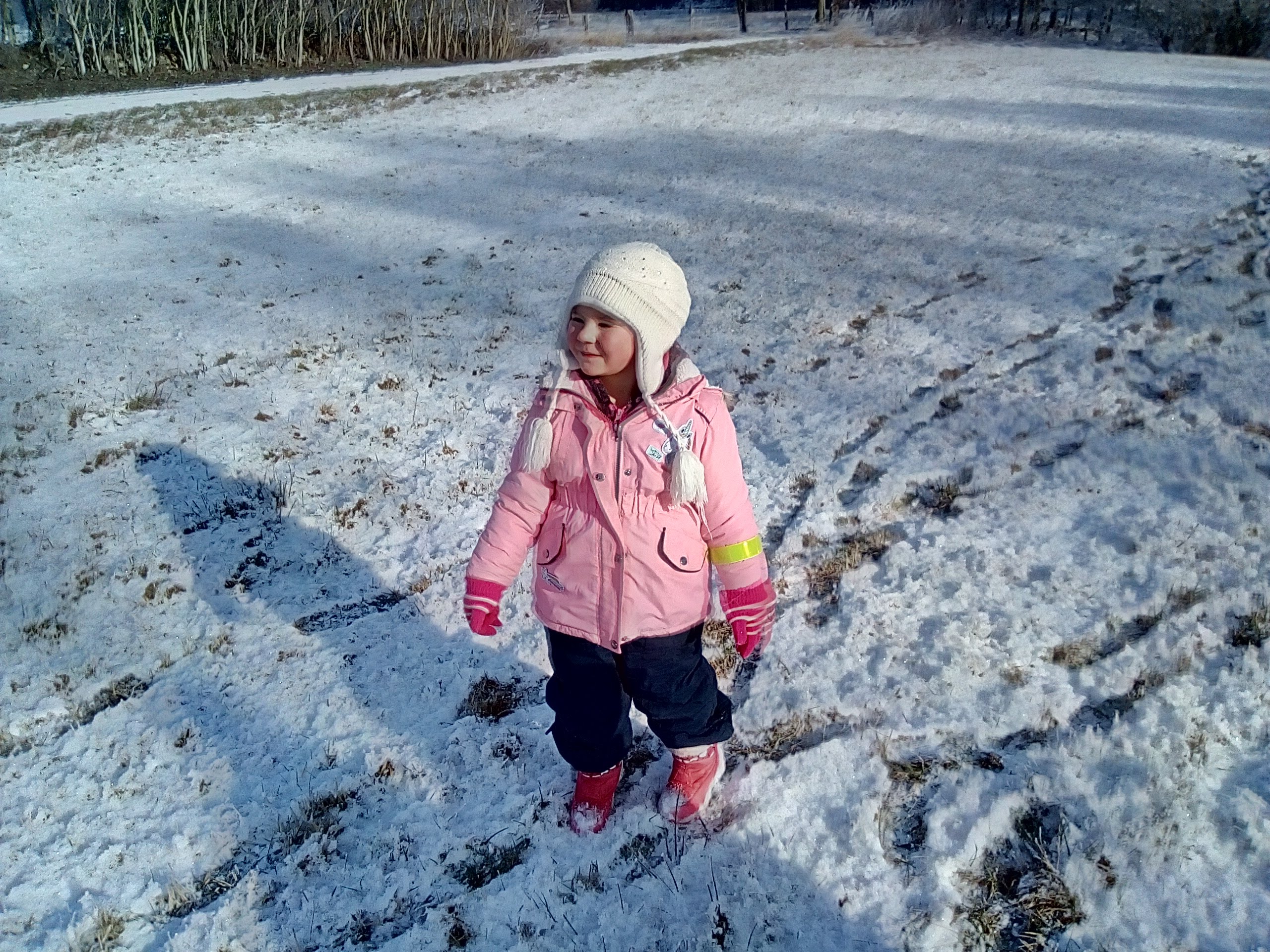 IMG_20190130_110208